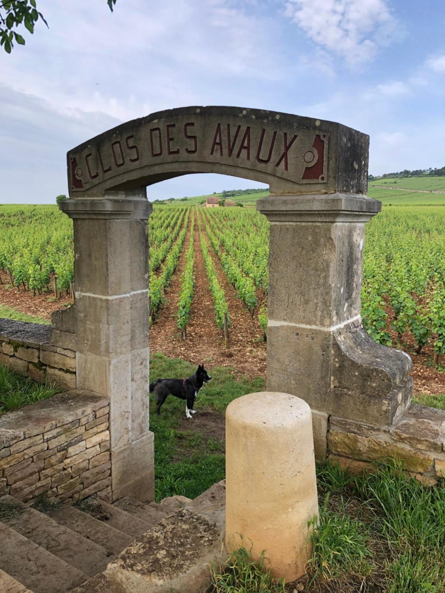 Ferienwohnung La Route Des Vins Beaune  Exterior foto